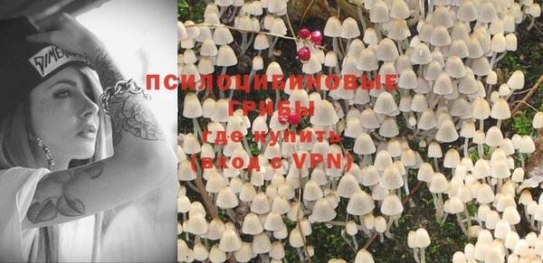 герыч Бронницы