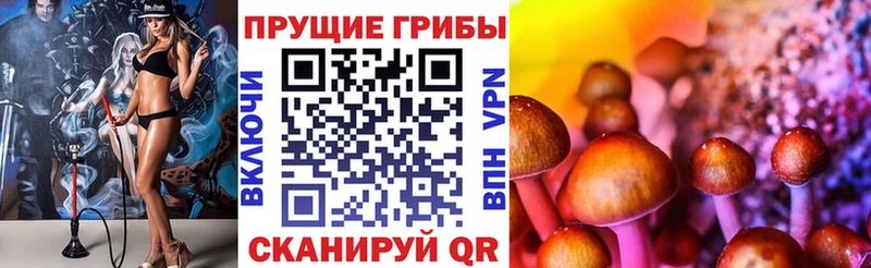 Купить закладки  Вельск  Псилоцибиновые грибы мицелий 